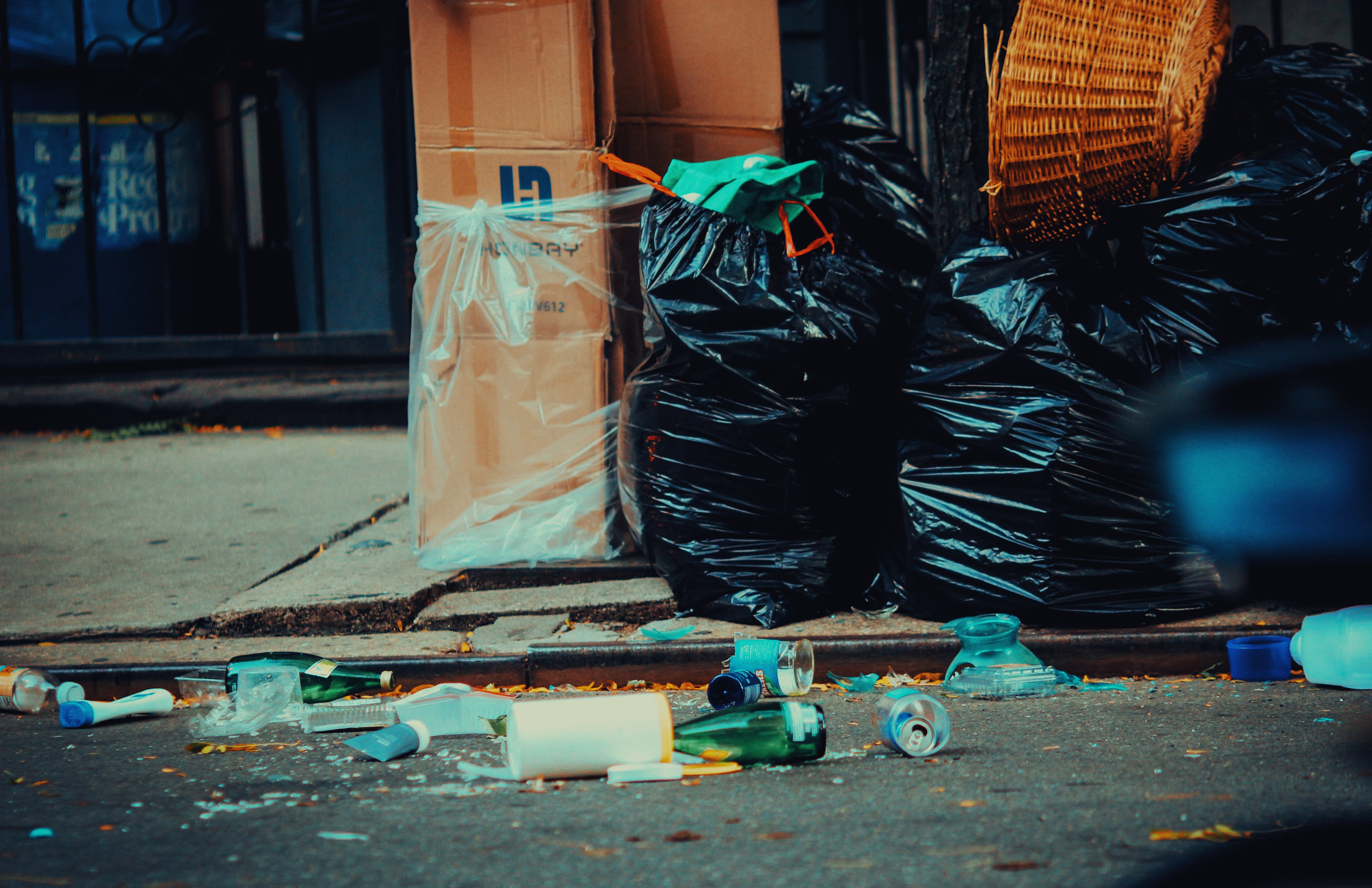 Disposable software, and the slop we're creating